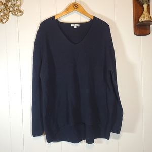 Madewell Wool Blend Dark Blue Academia V Neck Plus Size Sweater XXL